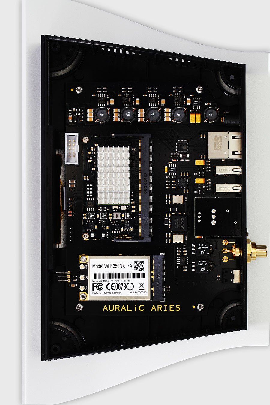 Auralic Aries Review Hifi Pig