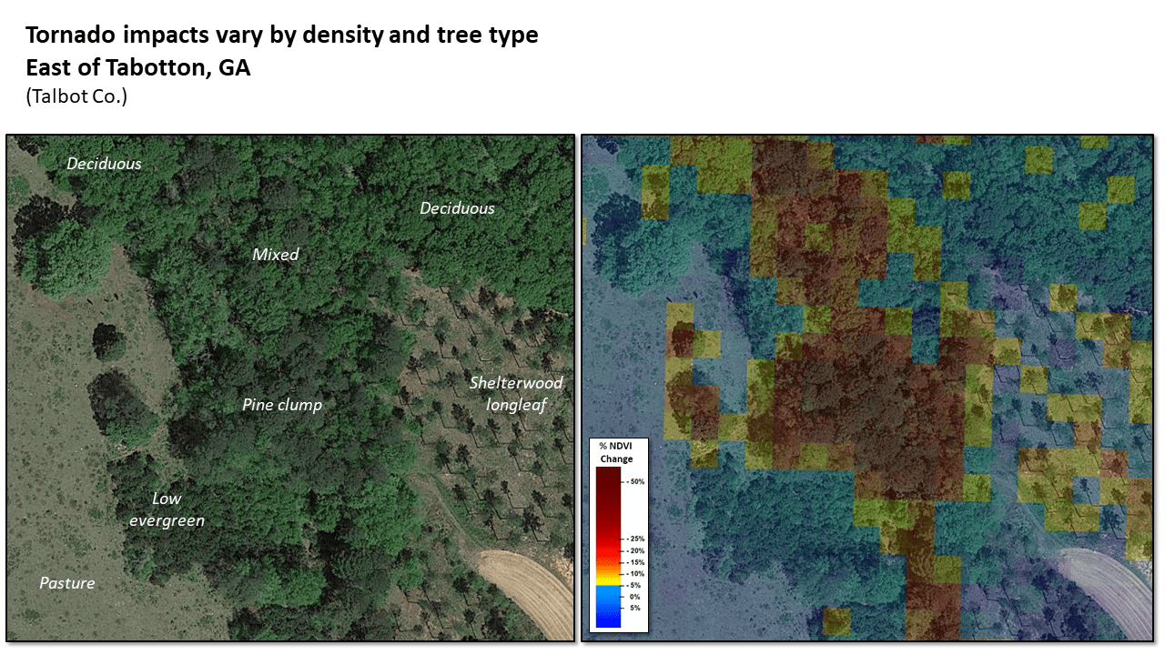 March 2019 BeauregardSmiths Station ALGA Tornado