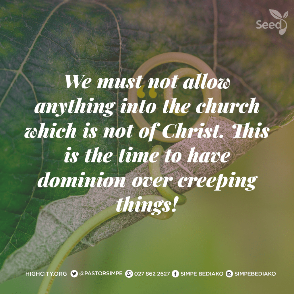 Dealing with Creeping Things Seed for Today Daily Devotional