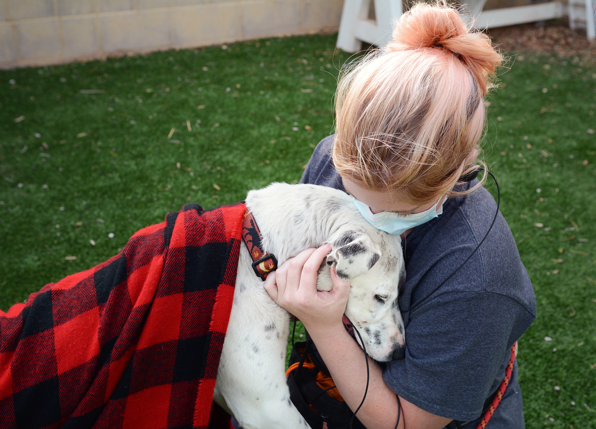 About Us - High Country Humane Animal Shelter Serving Flagstaff Arizona