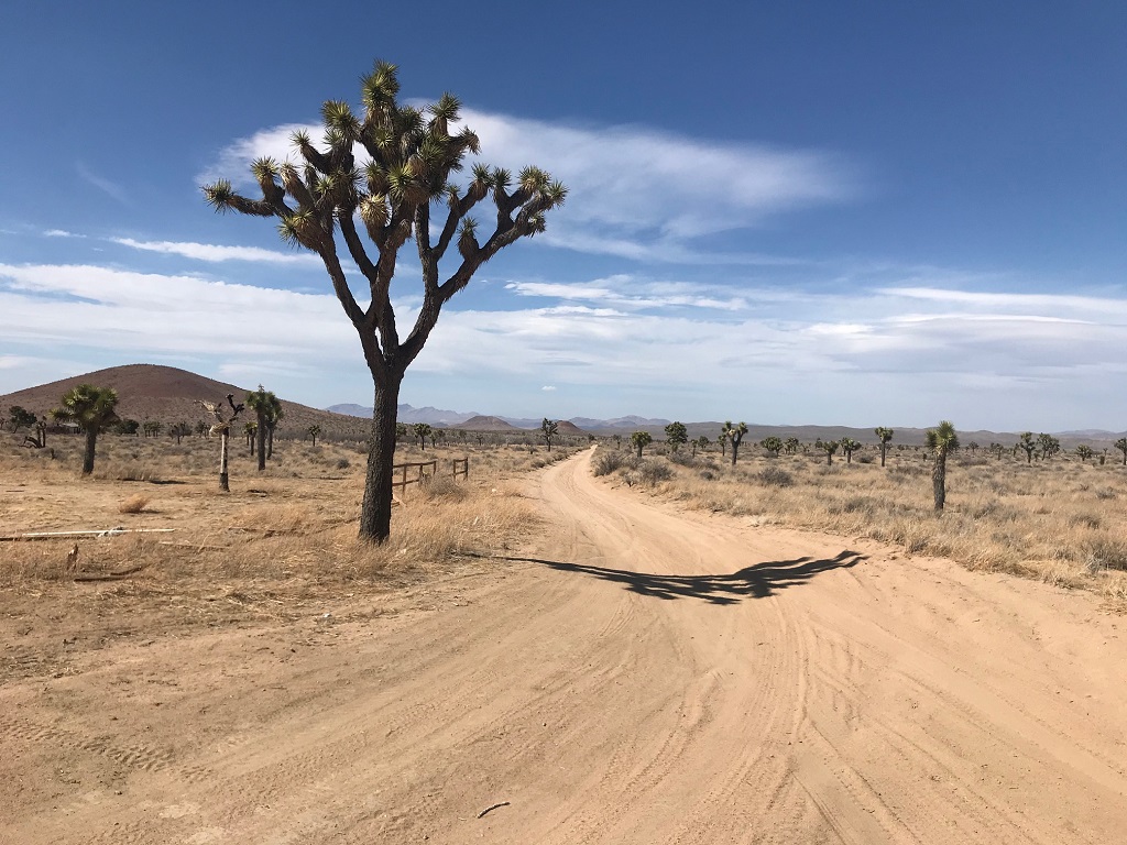 Roads High Desert Locations