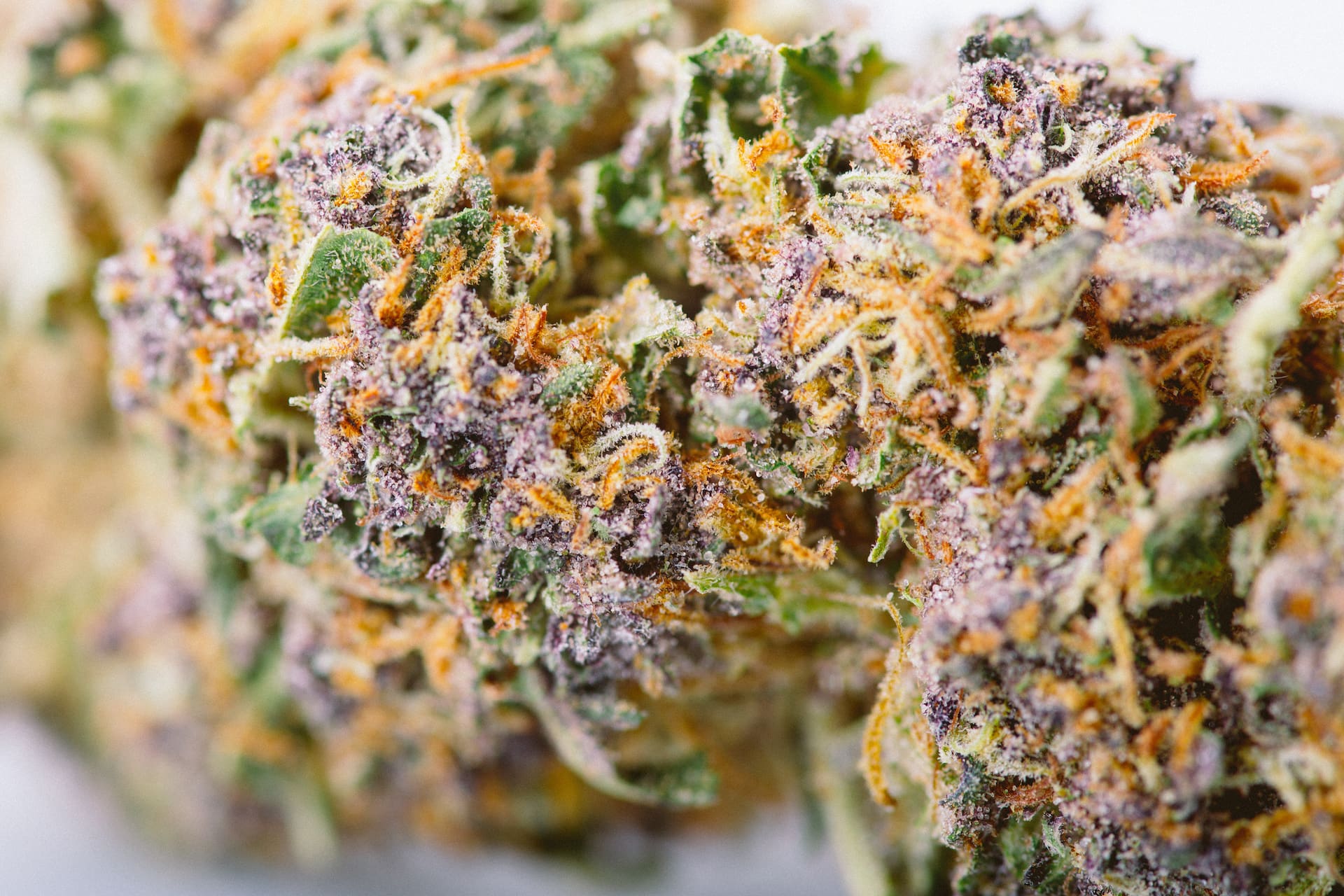 Missouri’s best weed strains and products of 2023 High Desert Relief