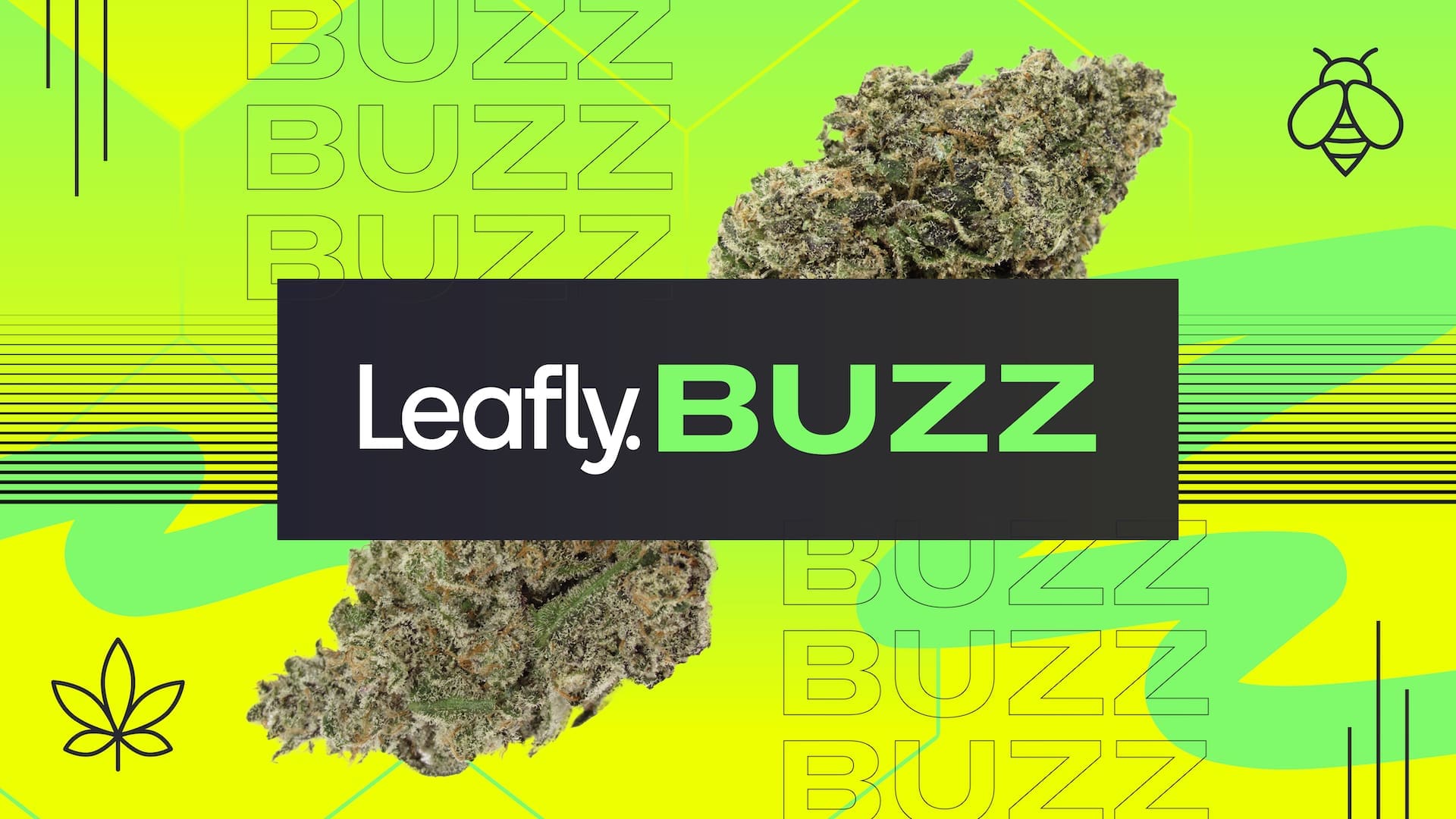 Leafly Buzz 12 hot cannabis strains of May 2024 High Desert Relief