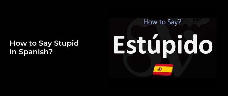 How to Say Stupid in Spanish?