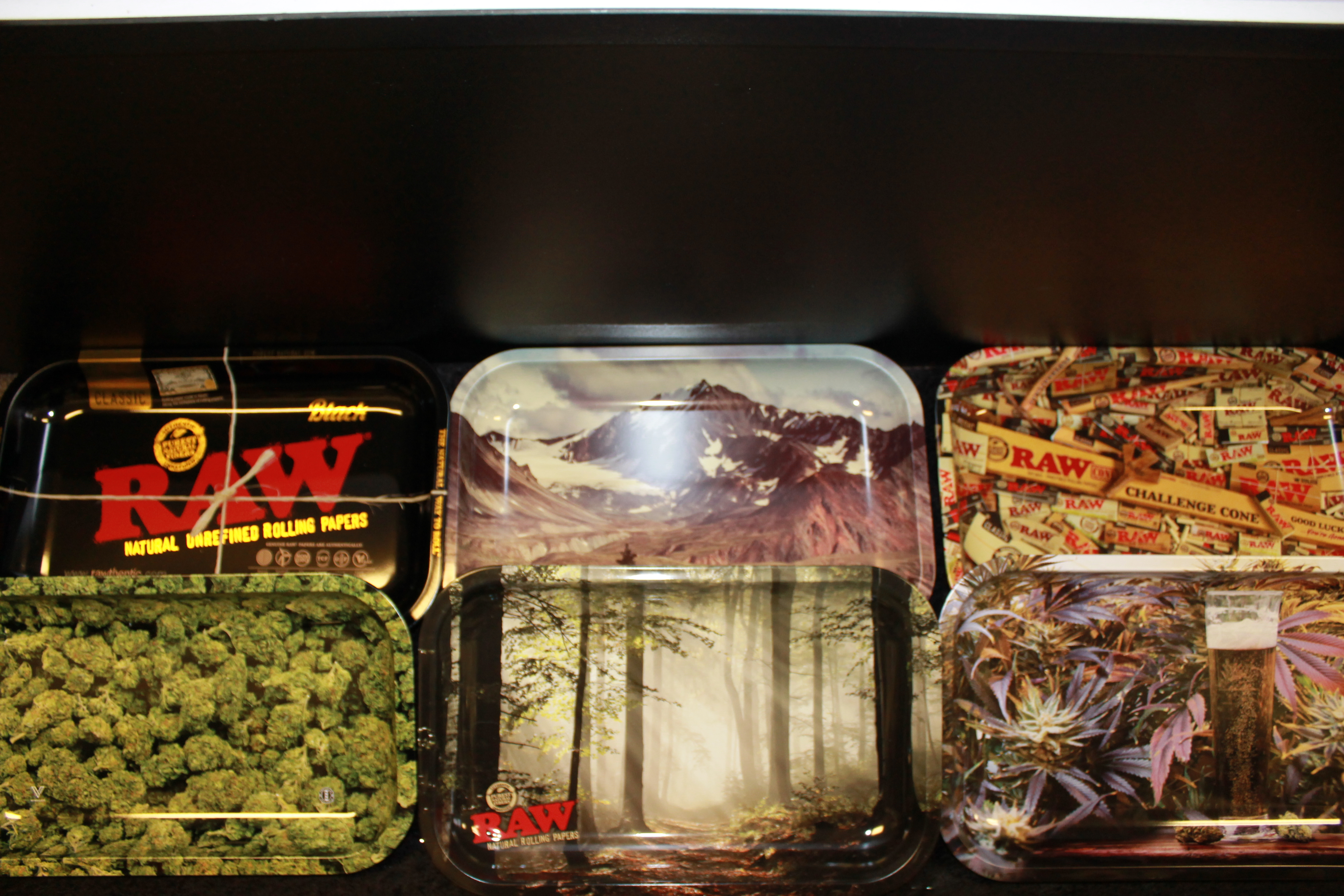 Rolling Trays Higher Education