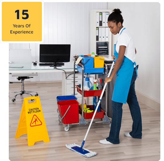 Professional Cleaning Services in Fort Myers and Naples FL