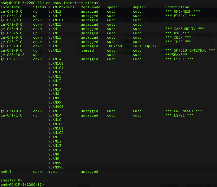 Any Command? like as cisco's "show interface status" Switching