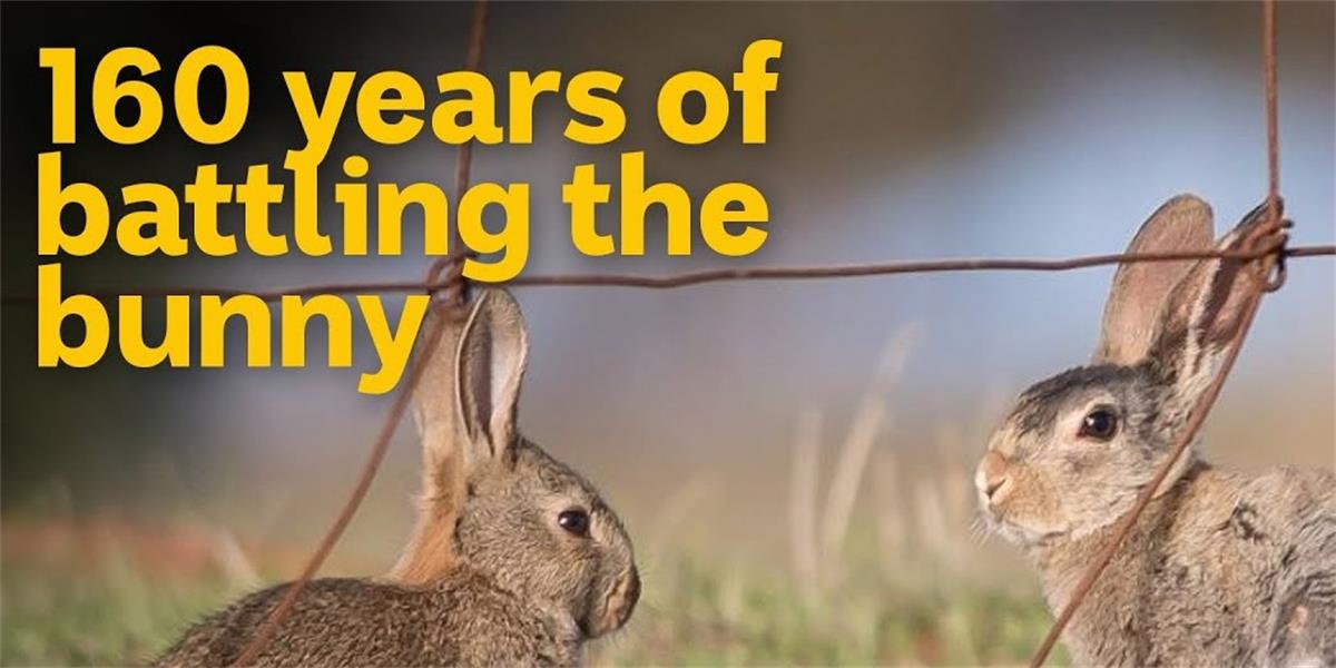 Rabbit Management Seminar Landcare x Victorian Rabbit Network Landcarer