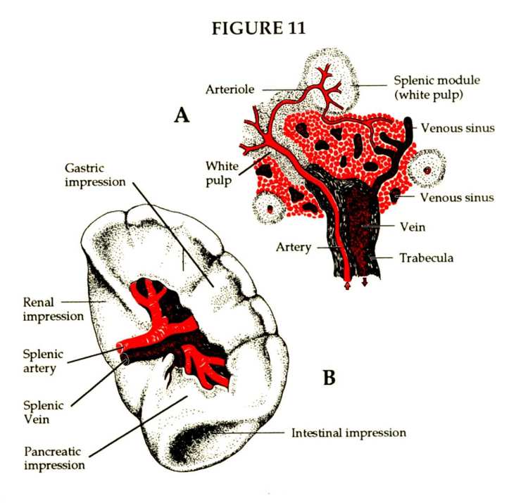 Chemical Education Between Bethel and Ai