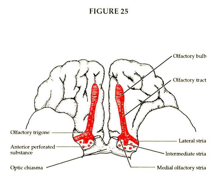 Chemical Education Between Bethel and Ai