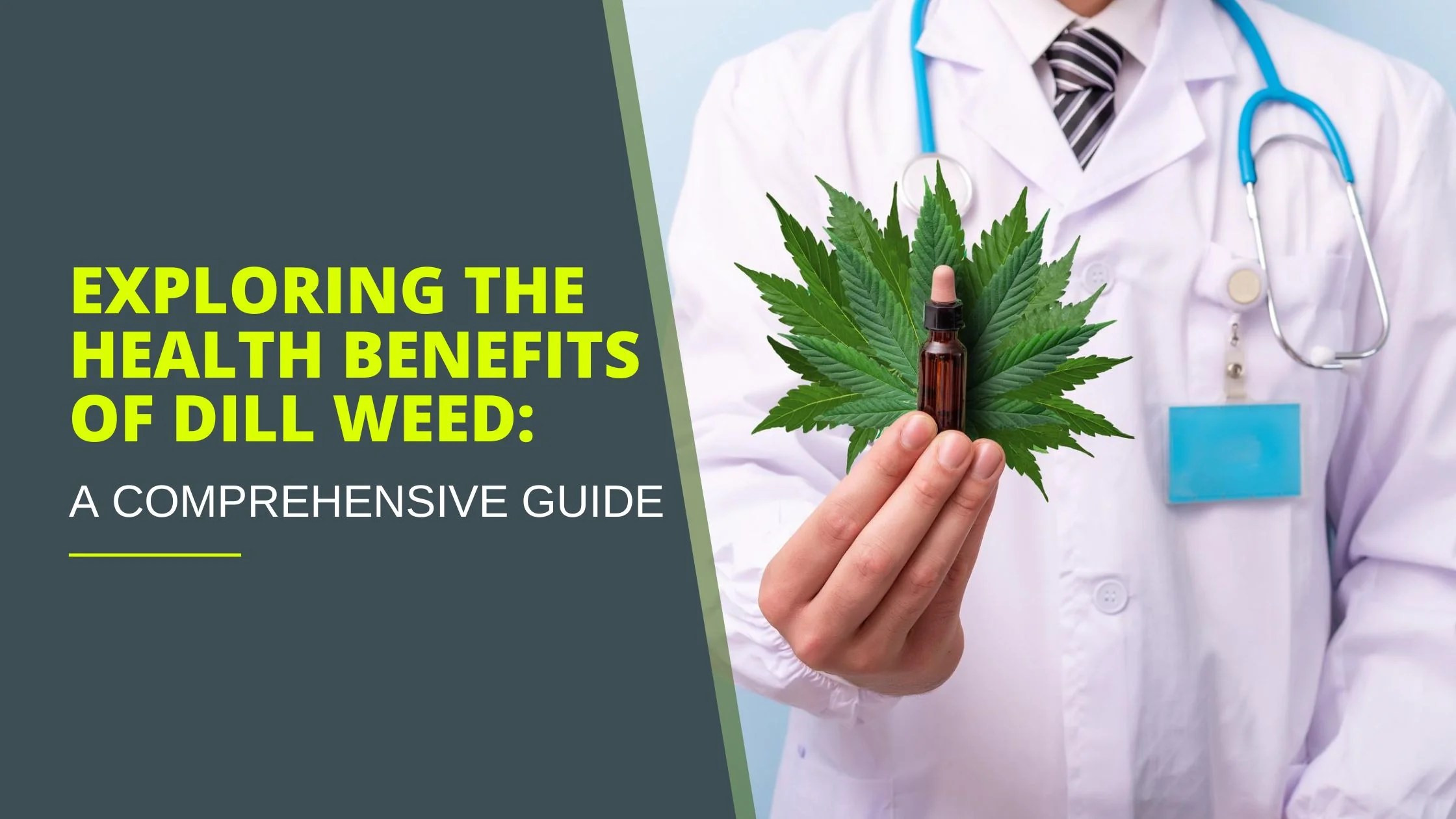 Exploring the Health Benefits of Dill Weed A Comprehensive Guide