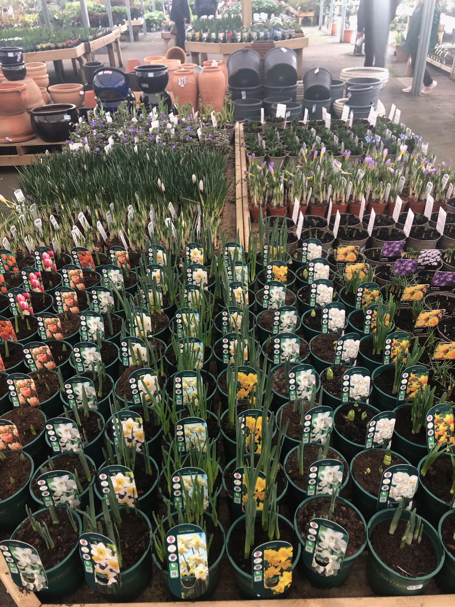 Planteria Highfield Garden World