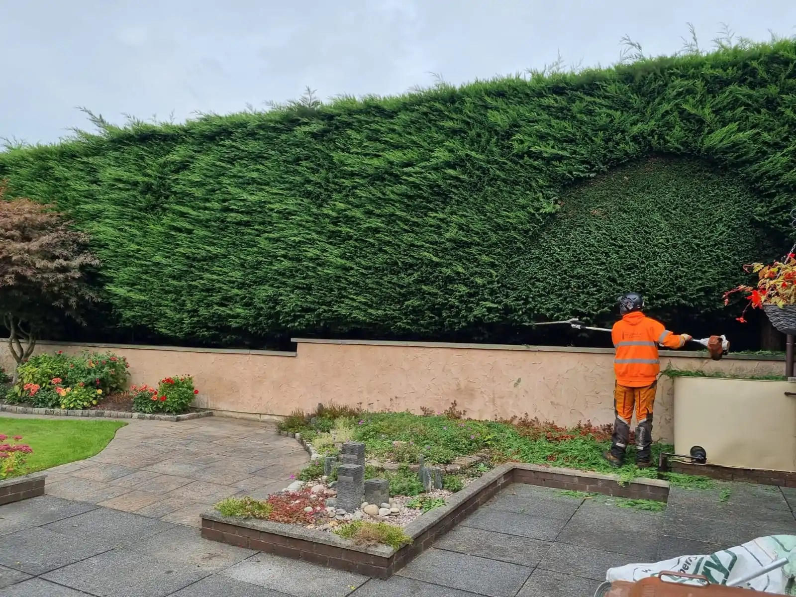 Annual Conifer Hedge Pruning Highfield Tree Care