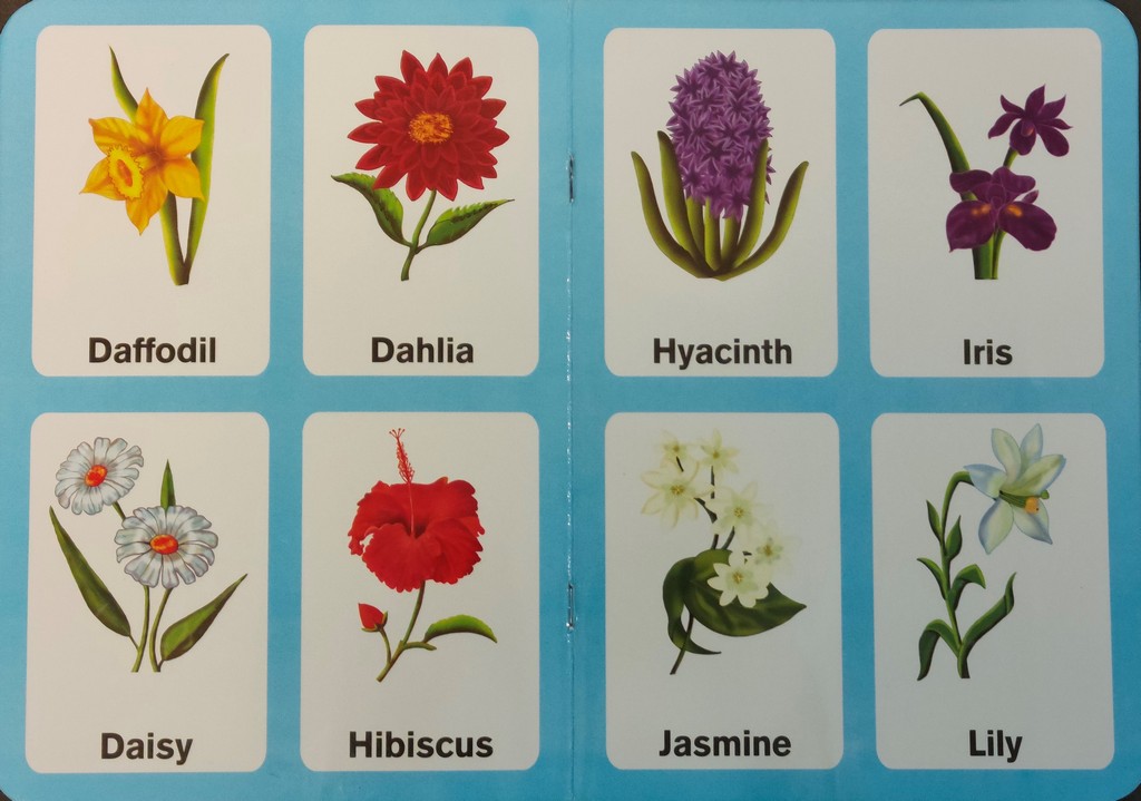 Preschool Picture Library Flowers HighFive Library