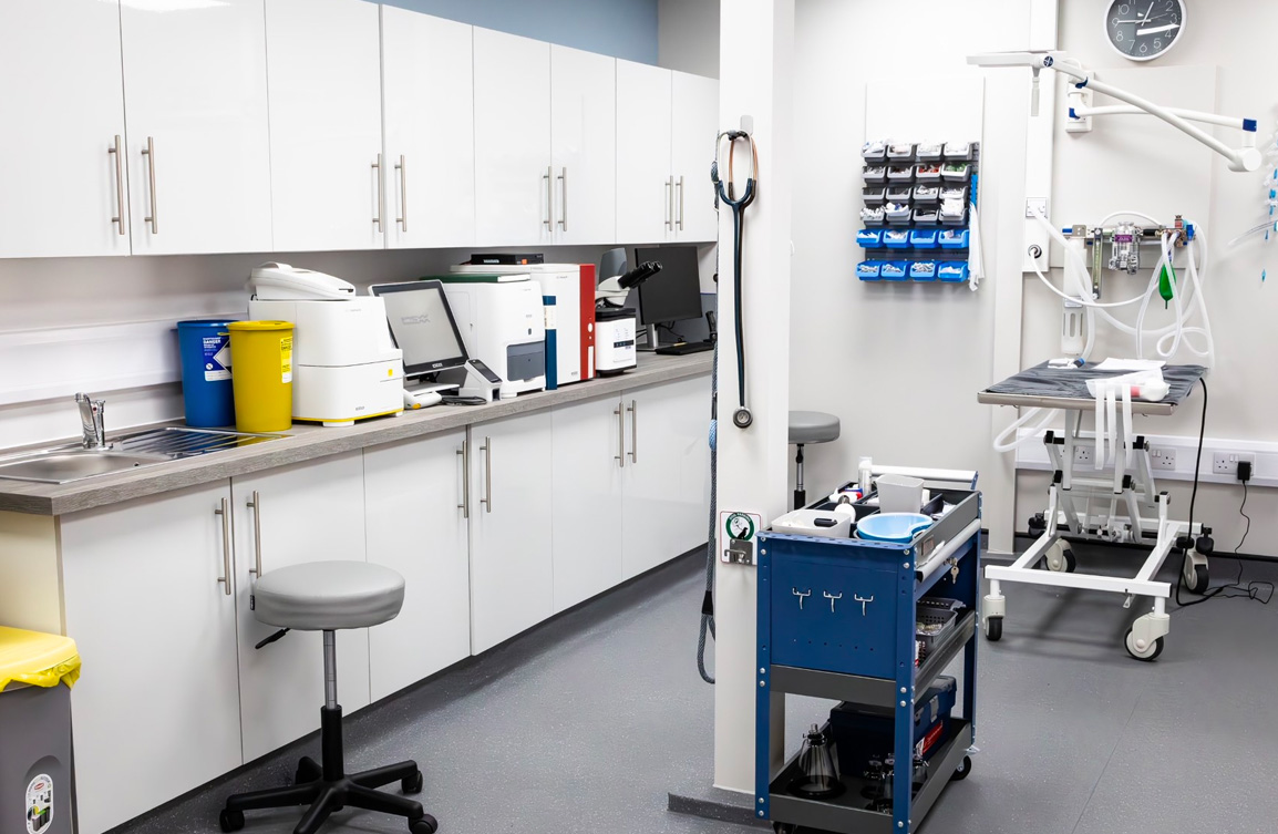 Services Highgate Vets Highgate Vets