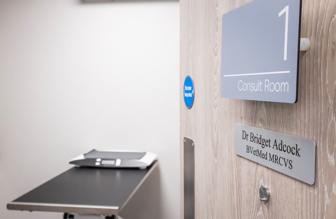 Services Highgate Vets Highgate Vets