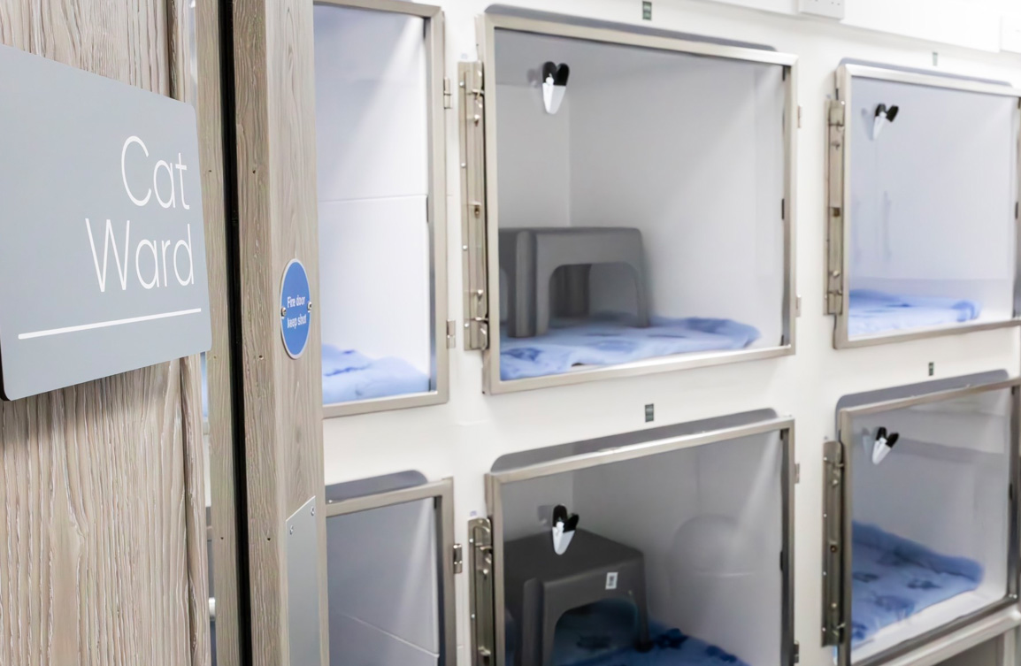 Services Highgate Vets Highgate Vets