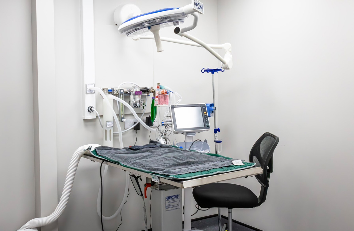 Services Highgate Vets Highgate Vets