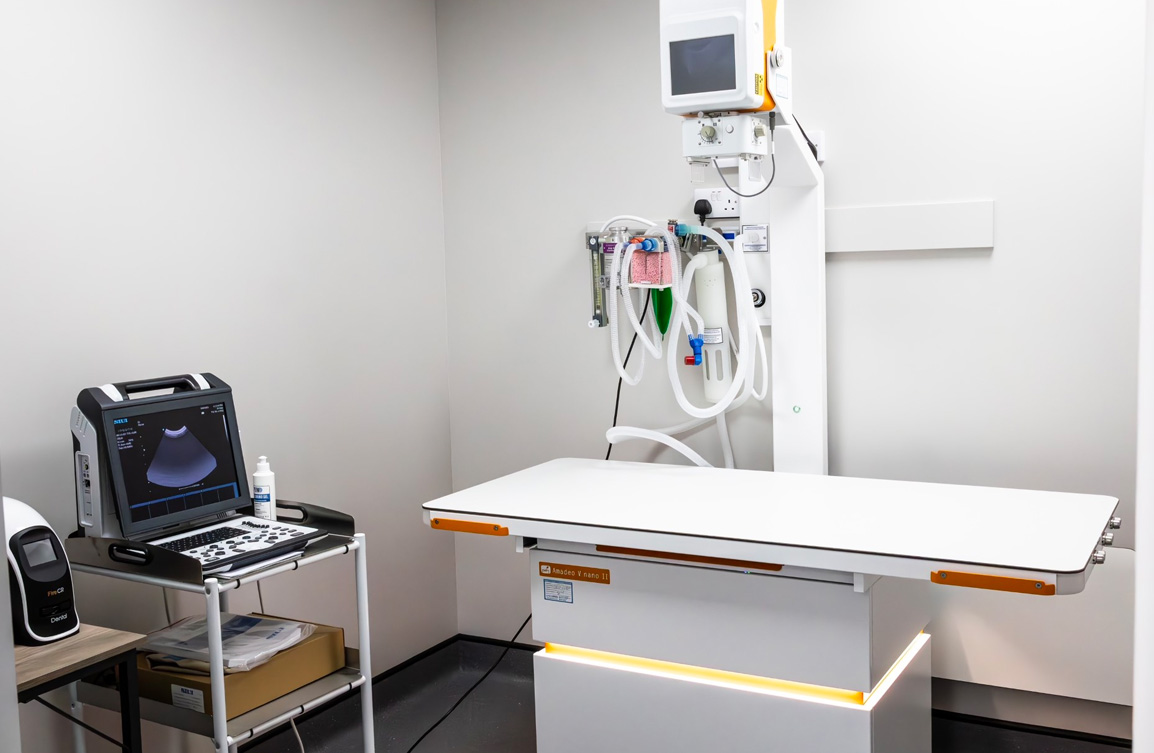 Services Highgate Vets Highgate Vets