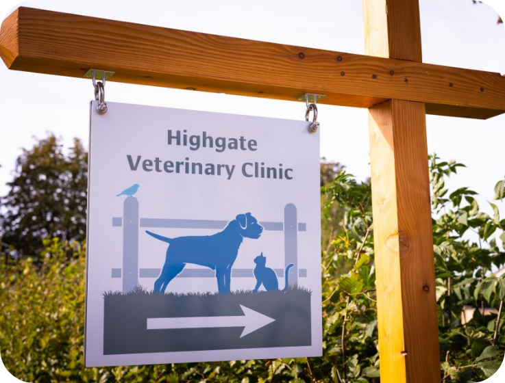 Contact Us Highgate Vets Highgate Vets