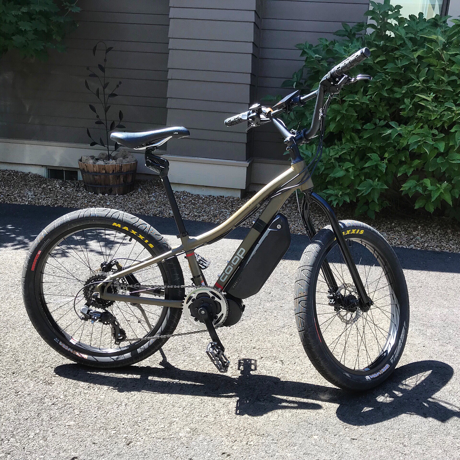 REI Coop Sporty, Fast eBike High Lakes eBikes LLC
