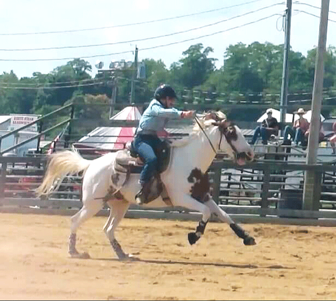 Hillsboro FFA member shows horses at Highland County Fair The