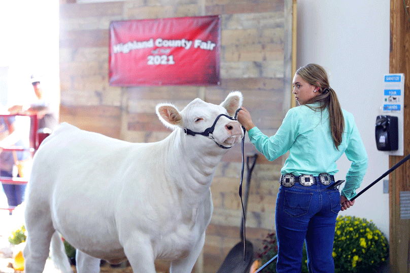 Highland County Fair beef showmanship The Highland County Press