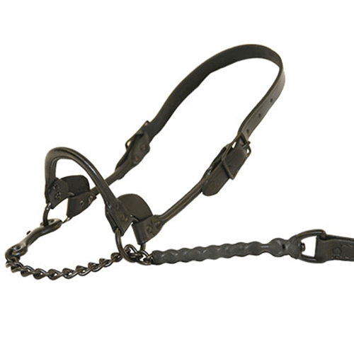 Sullivan's 1st Class Show Halter [FCSH*] Highland Livestock Supply