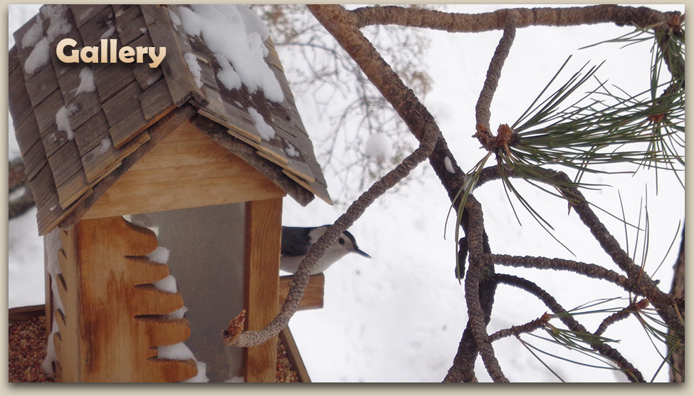 Highland Meadows HOA Gallery Page