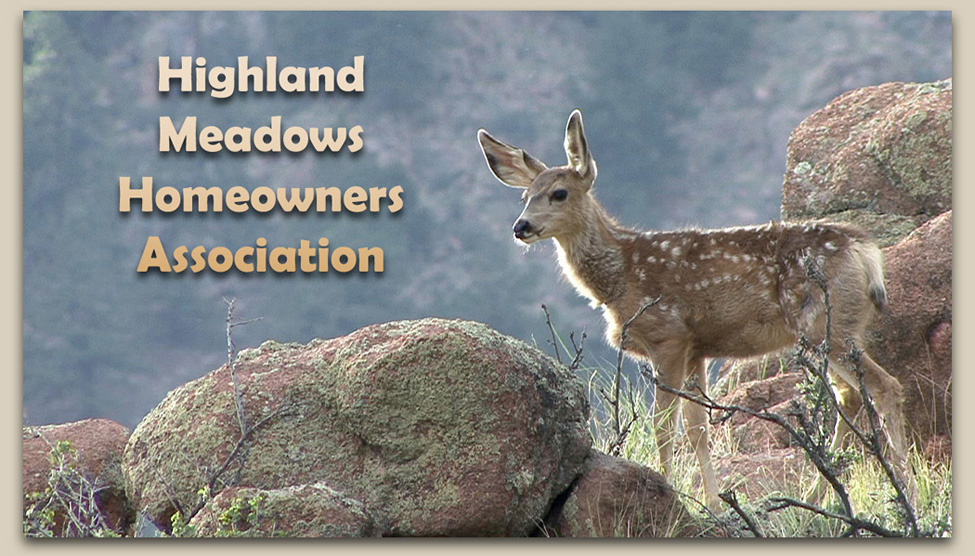 Highland Meadows HOA Florissant, Colorado Home Page