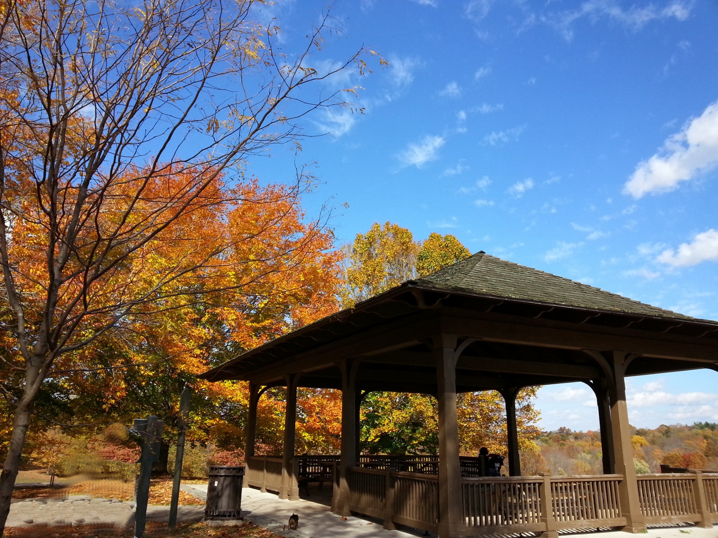 Highlands Home Place The Highlands of Louisville, KY Real Estate