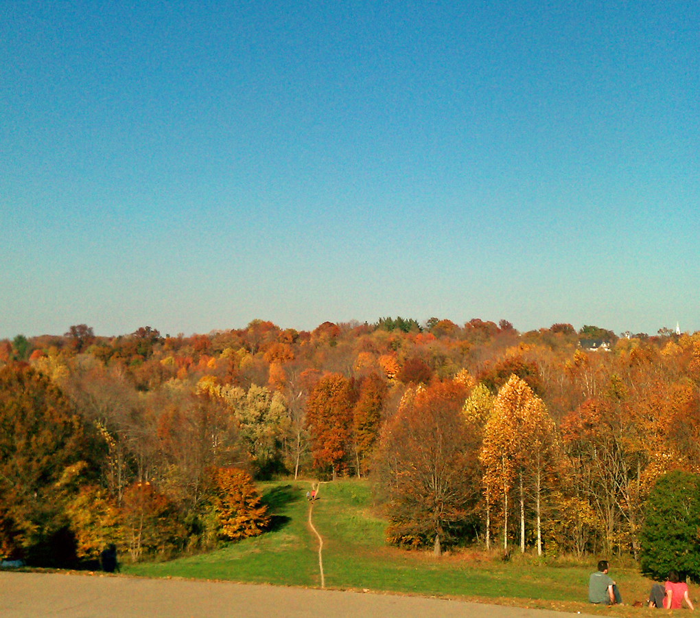 Highlands Home Place The Highlands of Louisville, KY Real Estate