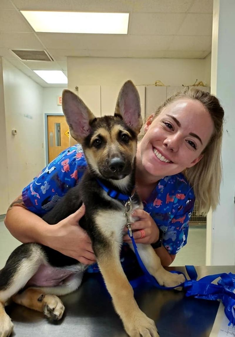 Best Vet In Chesapeake Highlands Veterinary Center