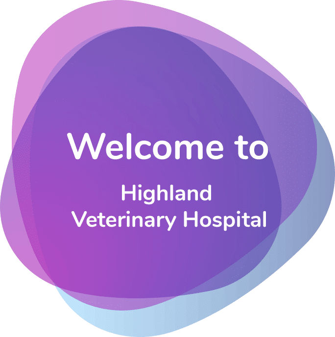 Home Highland Veterinary Hospital