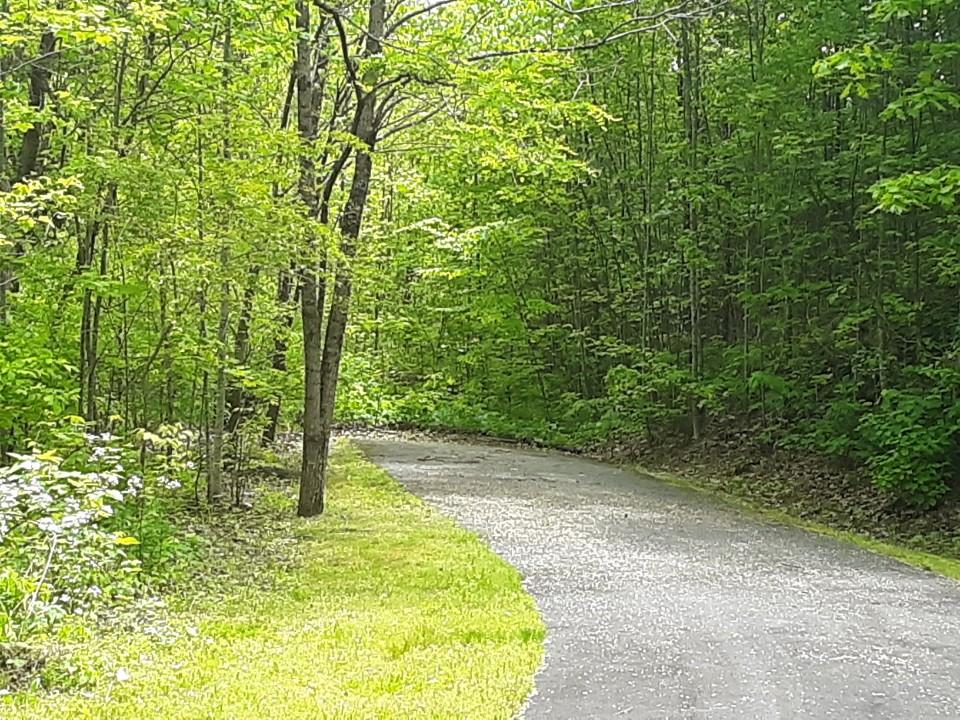 205 Treehouse Whittier Nc Map Map