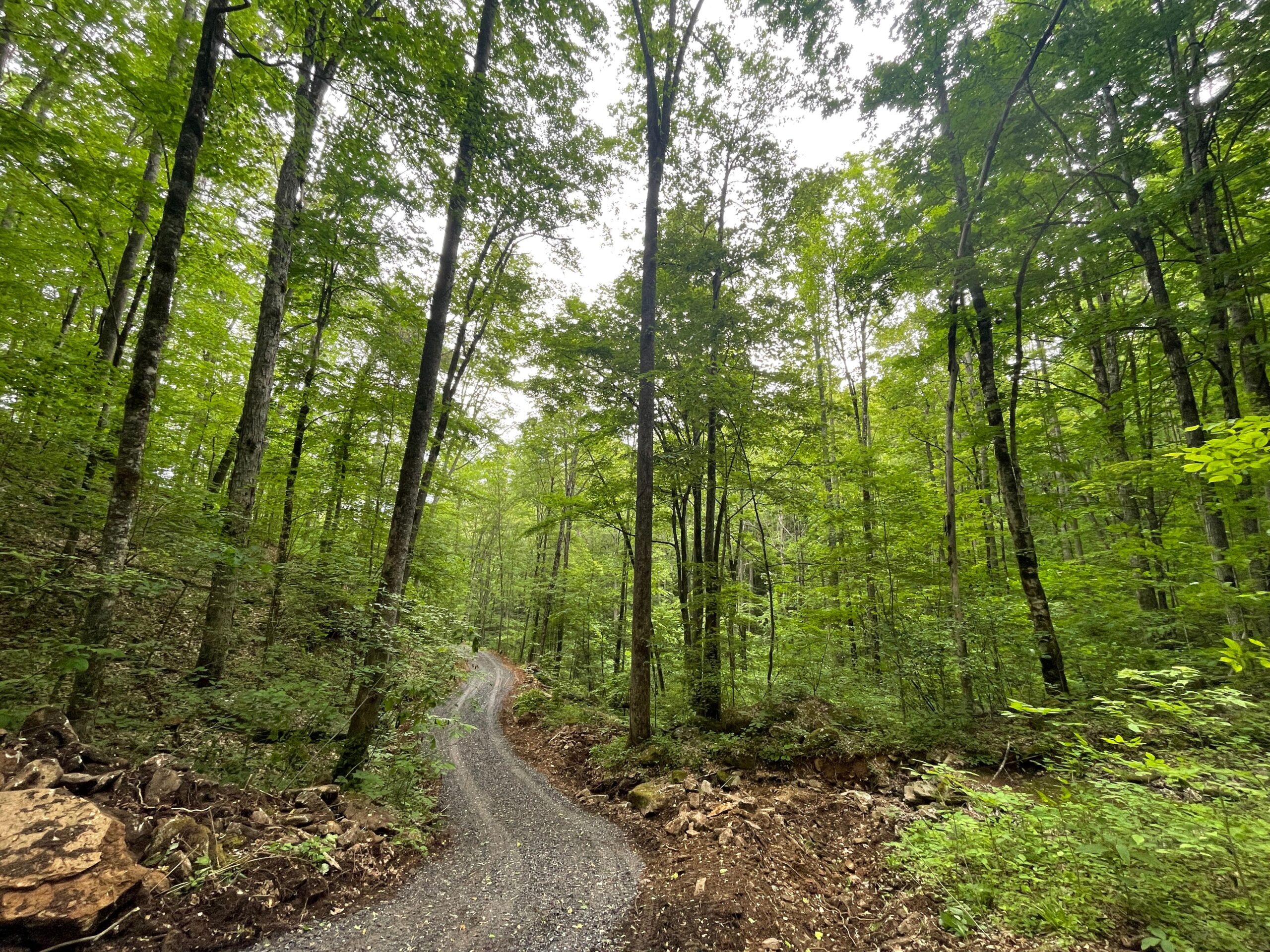 2.83 Acres of Unrestricted CreekFront Land