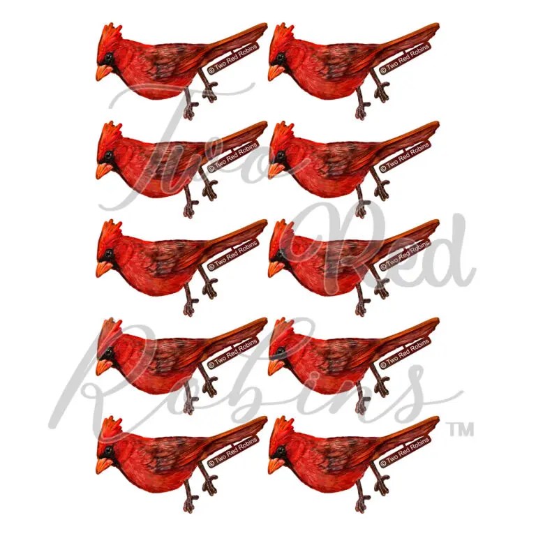 Two Red Robins Maple Reflections Download Highlight Crafts