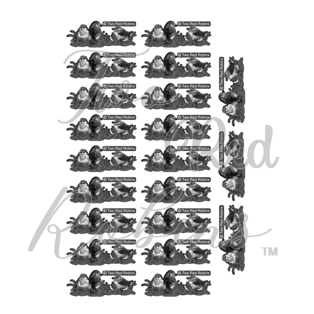 Two Red Robins A Little Tweet Black & White Reflections Download