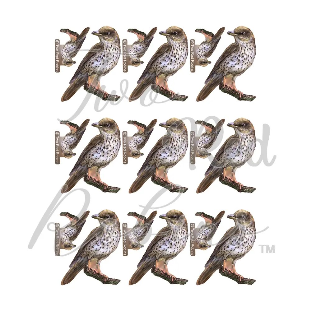 Two Red Robins Timmy Reflections Download Highlight Crafts