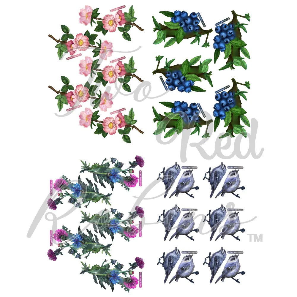Two Red Robins Midnight Blooms Reflections Download Bundle Highlight