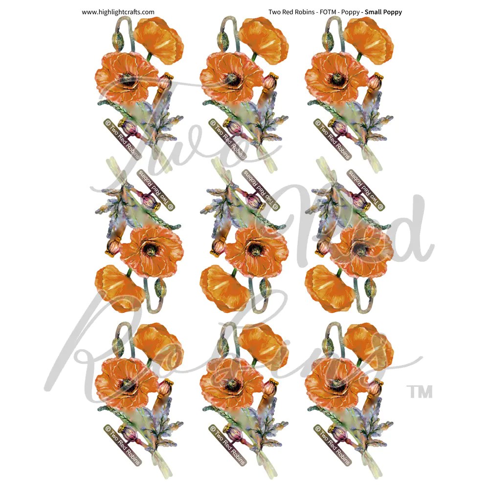 Two Red Robins Small Poppy Reflections Download 02 Highlight Crafts