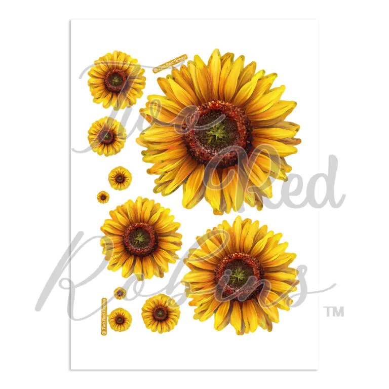 Two Red Robins Harvest Delight Reflections Printed Sheet 1 Highlight