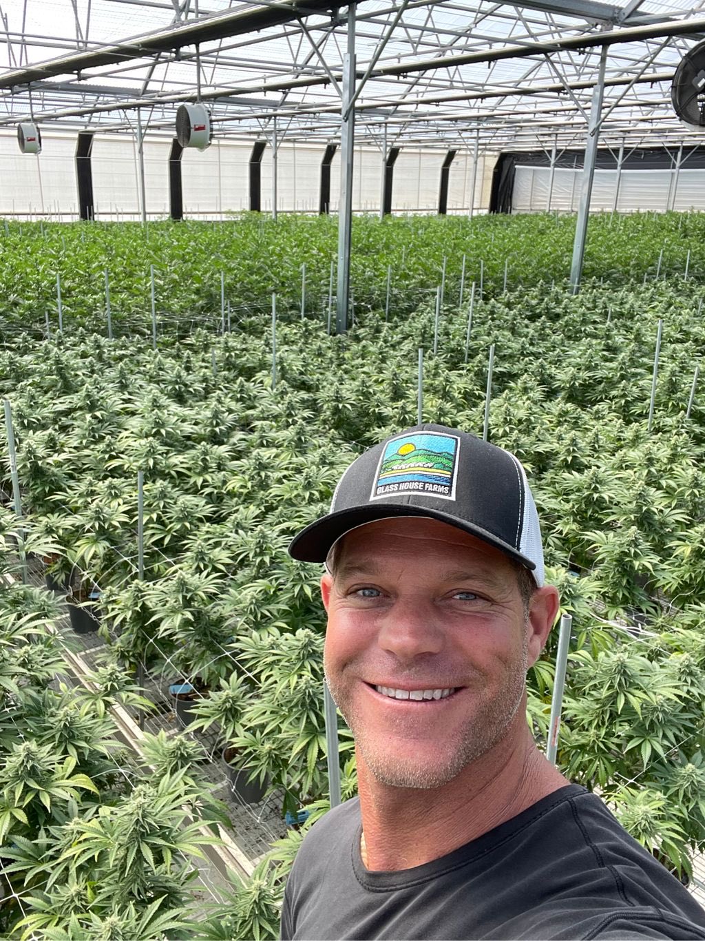 Glass House Brands Forms and Nursery Partnership with Seed Junky