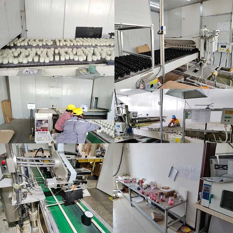 Discover the Best in Professional Scented Candle Manufacturing Raymeel