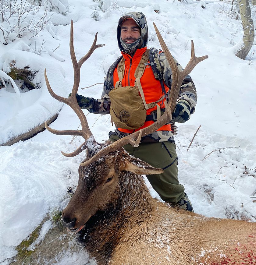 Colorado Elk Hunts High Mountain Hunts