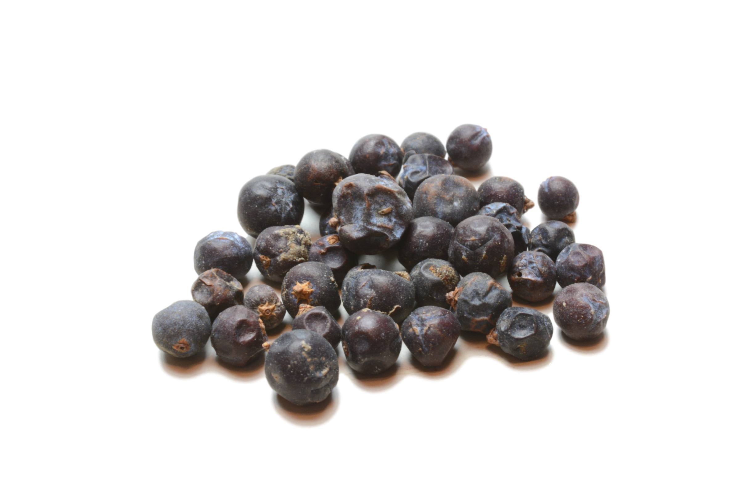 Juniper Berries High Plains Spice Company