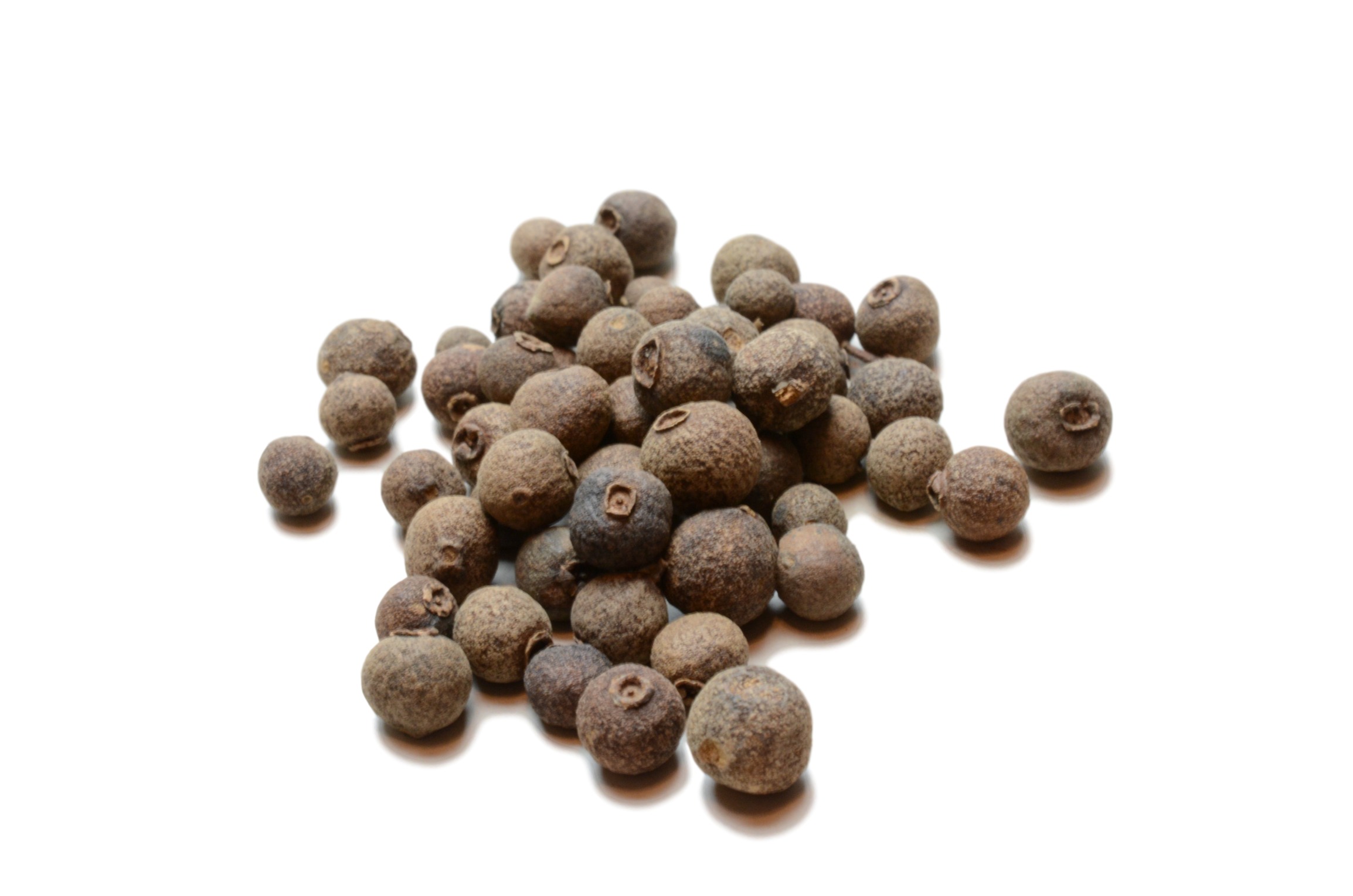 Allspice (whole) High Plains Spice Company