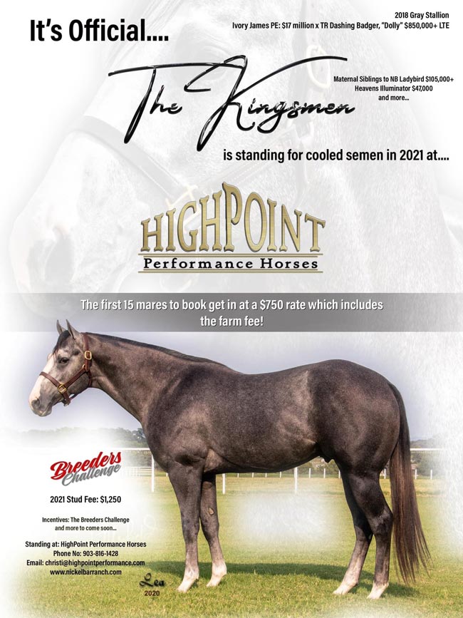 The Kingsmen 2017 Stallion standing at High Point Performance