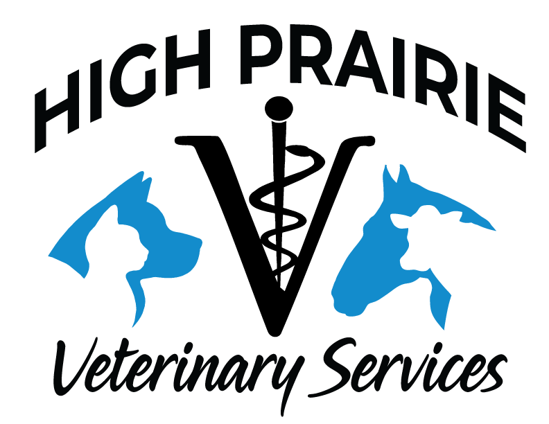 Social Media Consent High Prairie Veterinary Services