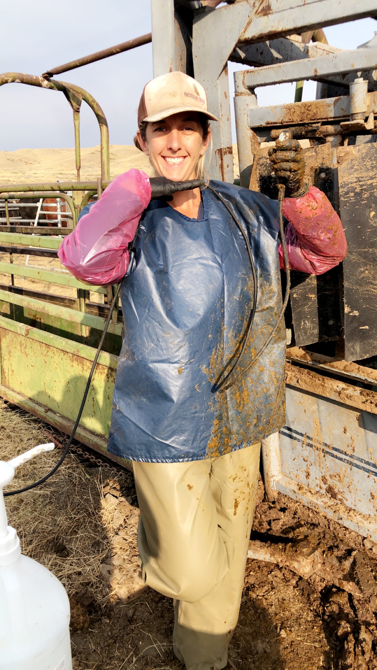 High Prairie Veterinary Services Gallery Vet Clinic In Colstrip